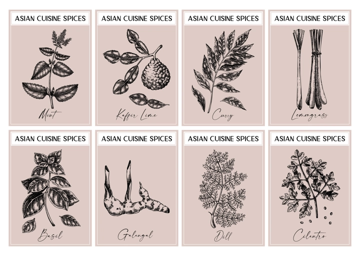 Asian spice labels set. Basil, curry, calangal, cilantro, lime sketches. Herbs and spices hand-drawn vectot illustration. Vintage print design. NOT AI generated
